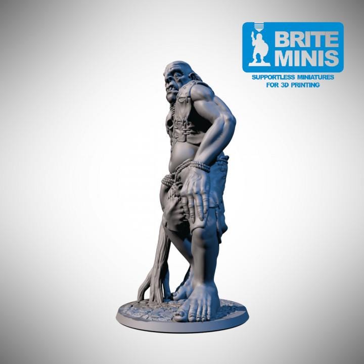Giant Brute Miniature Hill Giant Monster for D&D DnD TTRPG – Gray PLA, Brite Minis