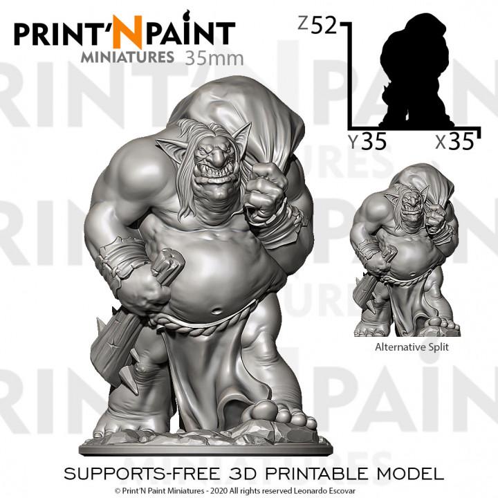 Pilferer Troll Zharogh Miniature – Dungeons and Dragons DnD 5e Pathfinder RPG Tabletop Fantasy Figure –PnP