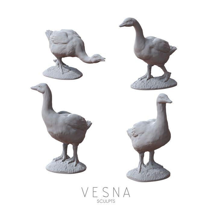 4pc Geese Miniatures DnD Dungeons and Dragons DnD Scatter Terrain 28mm/32mm RolePlaying Fantasy Wargame Miniature Geese Farm Animal- VS