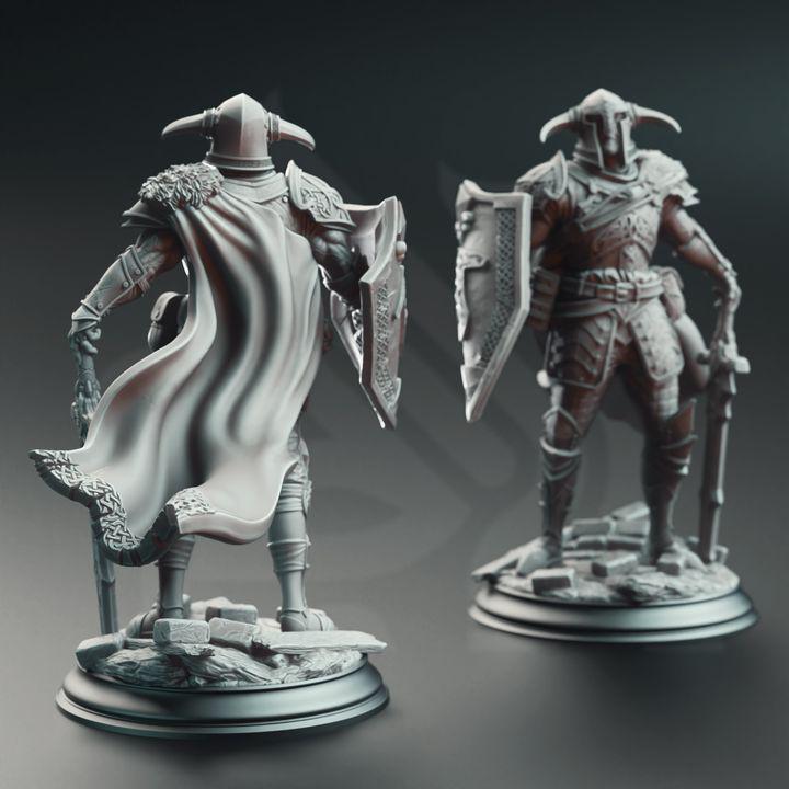 Paladin Fighter Nordic Miniature Dungeons and Dragons Warrior Mini RPG Tabletop Miniature DnD Painting Pathfinder 5e DnD Lizarin - DmS