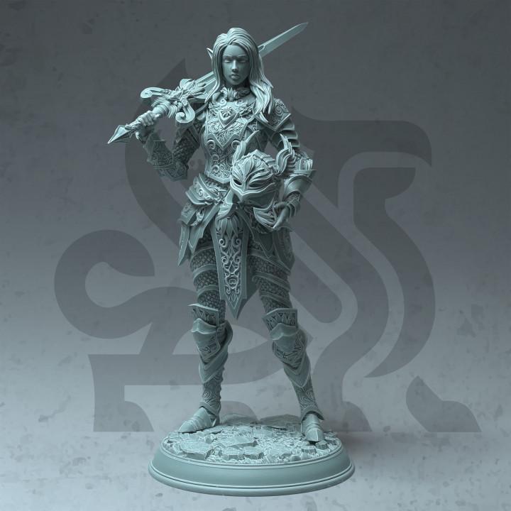 Fey elf paladin miniature view 4