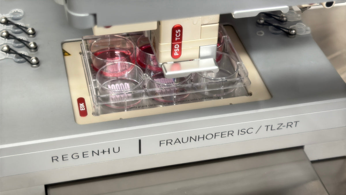 Fraunhofer bioprinter producing small lattice structures in a multiwell plate
