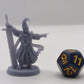 
Nightbringer DnD Dungeons and Dragons 28mm/32mm TTRPG Fantasy Wargame Miniatures Magic NPC 3D Printed Miniature NPC Medieval warrior