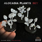 
26pc Alocasia Plants Basing Bits (Plants) 28mm/32mm Scale Scatter Terrain Basing Materials Tropical Jungle Adventure Flora Scenery Elements