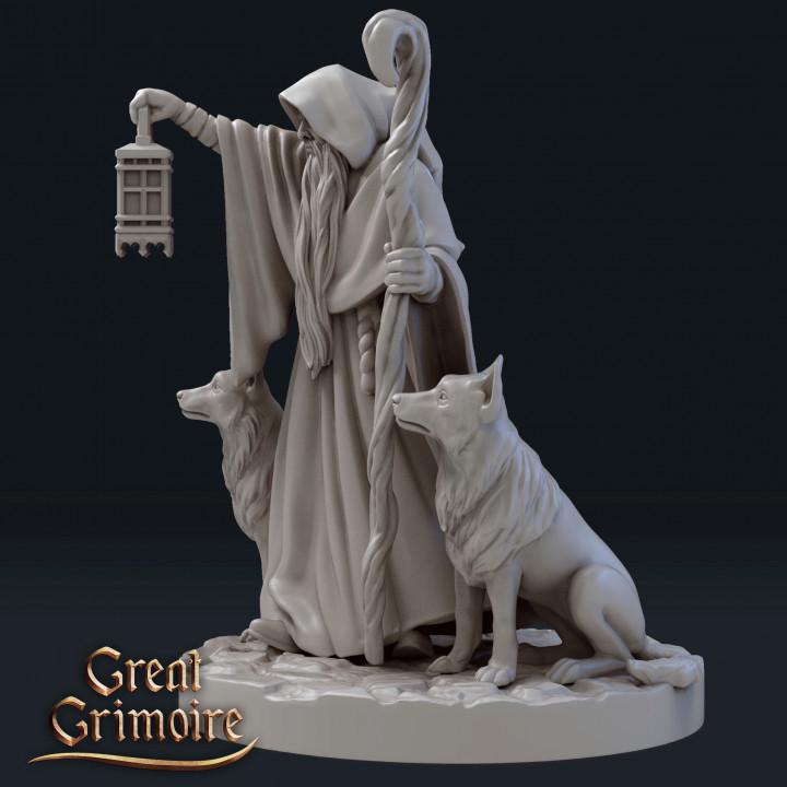 
The Hermit and their dogs Dungeons and Dragons 28mm/32mm TTRPG Mage with a Staff Druid Hermit - GG