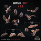 
13pc Owls Set Miniature DnD Dungeons and Dragons 28mm/32mm TTRPG Scatter Scenery Fantasy Forest Scenery Basing Bits Basing materialsZbW
