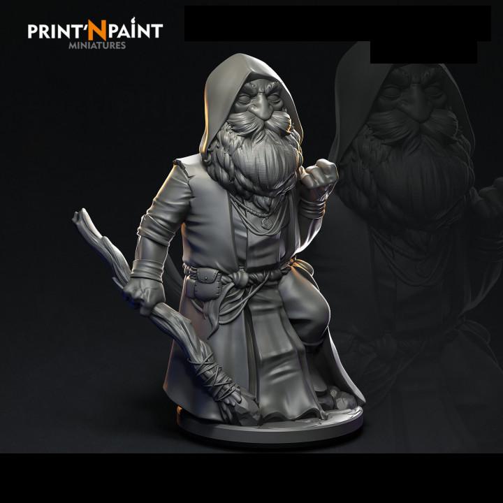 
Gnome Mage Finbrann – Fantasy Wizard