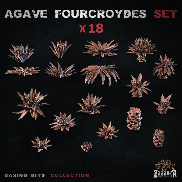 
18pc Agave Fourcroydes