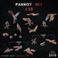 
18pc Parrot Miniatures for Dungeons and Dragons 28mm/32mm Basing Bits DnD Scatter Terrain Scenery Scatter TTRPG Mini Basing Material - ZbW