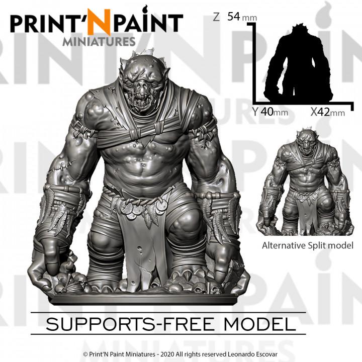 
Jungle Ritual 3 Mini Bundle Miniature – Dungeons and Dragons DnD 5e Pathfinder RPG Tabletop Fantasy Figure –PnP