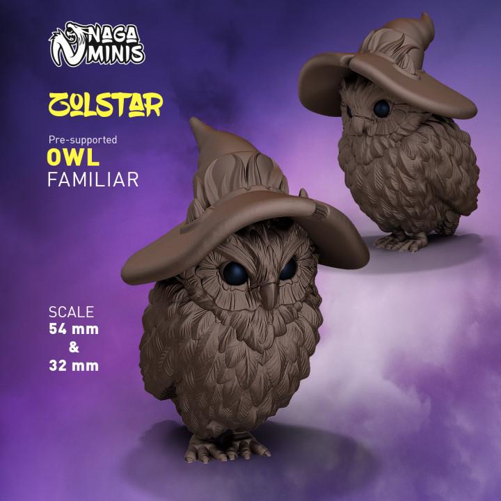 
Owl Familiar NAGA MINIS DnD Dungeons and Dragons  28mm 32mm D&D Wargame Miniatures for Dioramas TTRPG Fantasy - Nm