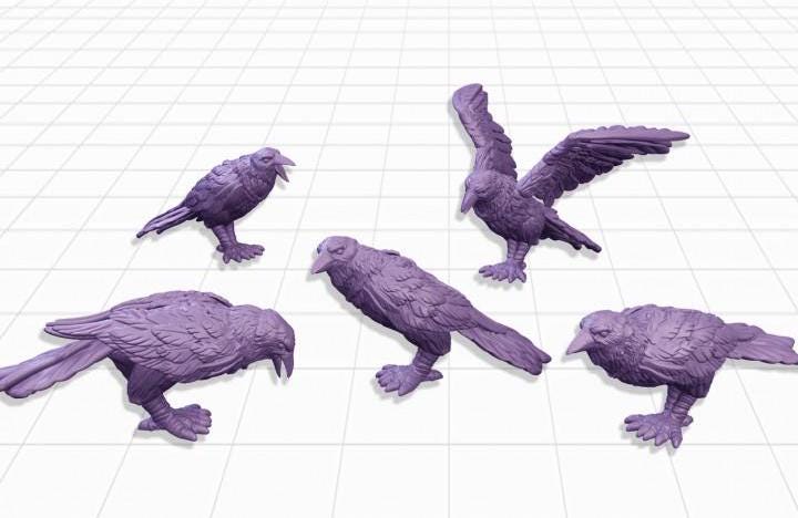
20pc Battlefield Crow Miniatures DnD Dungeons and Dragons 28mm/32mm Scatter Terrain TTRPG Fantasy Crow Scatter Scenery Basing Materials