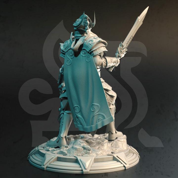 
2pc Elven Vanguard Warrior Miniatures Dungeons and Dragons 28mm/32mm/38mm Mini RPG Tabletop Miniature DnD Painting Pathfinder 5e DnD - DmS