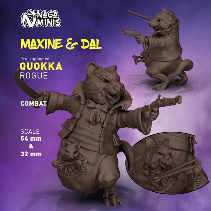 
Quokka Folk Rogue DnD Dungeons and Dragons