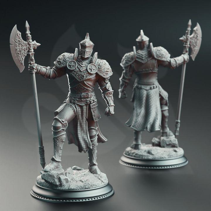 
Knight Miniature Dungeons and Dragons 28mm/32mm/38mm Mini RPG Soldier Tabletop Miniature Pathfinder 5e DnD Fighter Set Claudius - DmS