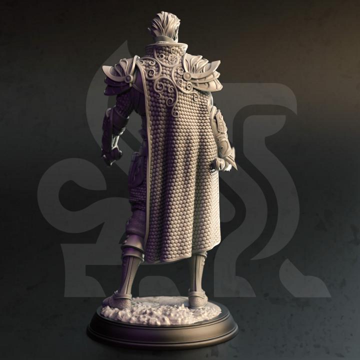 
Elf Assassin Miniature DnD Dungeons and Dragons 28mm/32mm TTRPG Fantasy Wargame High Elf Arcane Trickster Pathfinder DnD Painting 5e Figures