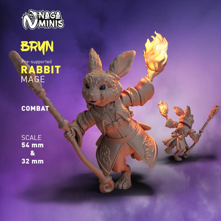 
Rabbit Folk Mage Combat DnD Dungeons and Dragons  28mm 32mm D&D Wargame Miniatures for Dioramas TTRPG Fantasy - Nm