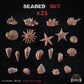 
21pc Seabed Scatter Shells  Rocks and Corals for DnD Basing Bits DnD Terrain Scenery Scatter Mini Basing Material Sea Floor Scatter - ZbWZbW