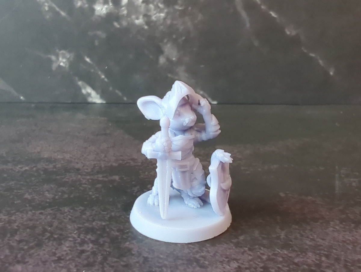 
Mousefolk Knight Miniatures for D&D Tabletop RPG Dungeons and Dragons Figurines 28mm 32mm Ideal for Dioramas Mouse Warrior Paladin
