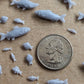 
50pc Fish Miniature 3D Printed DnD Scatter Terrain Dungeons and Dragons Basing Bits for Scenery Scatter D&D TTRPG Miniature Basing Material