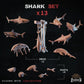 
13pc Shark Miniature Bits for Dungeons and Dragons Basing DnD Scatter Terrain Scenery Scatter Mini Basing Material Ocean Minis - ZbWZbW