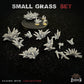 
19pc Small Grass - Basing Bits (Plants) 28mm/32mm Scale Agricultural Scatter Terrain Grass Basing Materials Naturalistic Scenery ElementsZbW