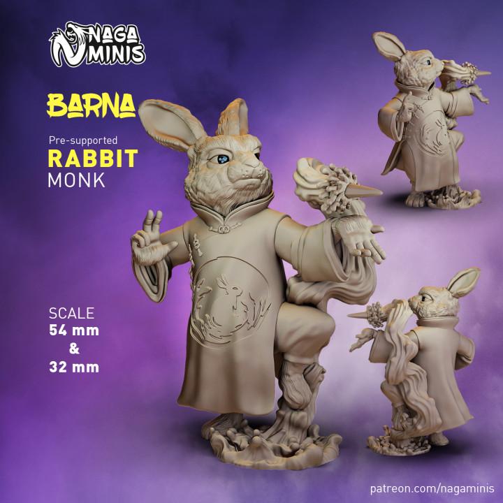 
Rabbit Folk Monk DnD Dungeons and Dragons