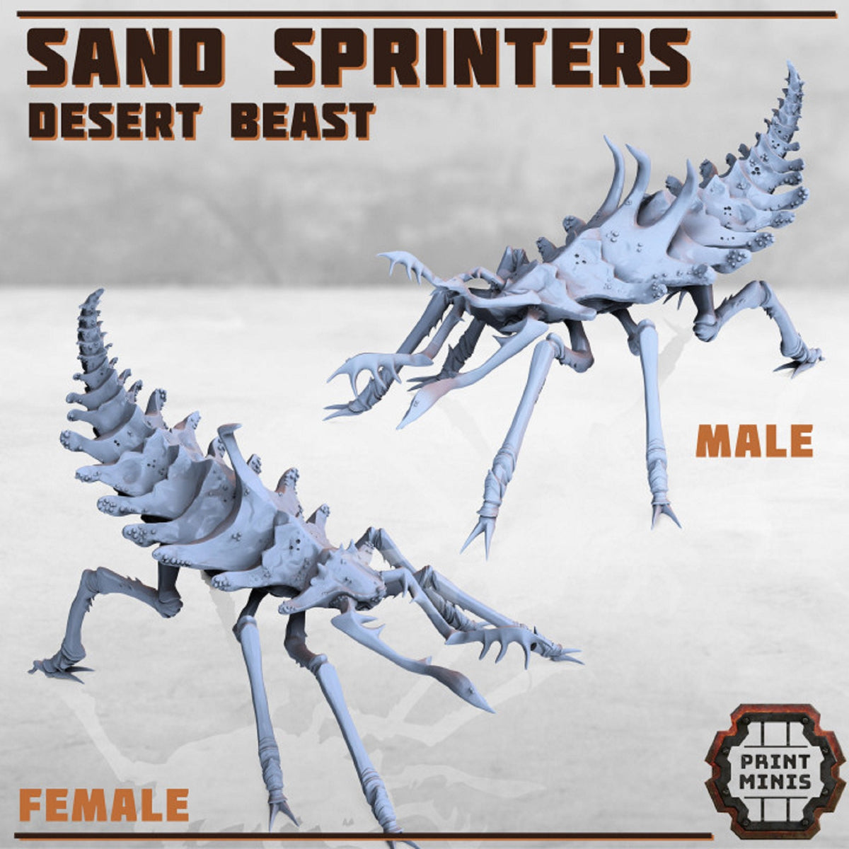 
Sand Sprinters, DnD, Dungeons and Dragons,