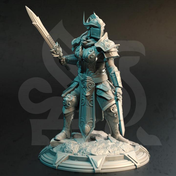 
2pc Elven Vanguard Warrior Miniatures Dungeons and Dragons 28mm/32mm/38mm Mini RPG Tabletop Miniature DnD Painting Pathfinder 5e DnD - DmS