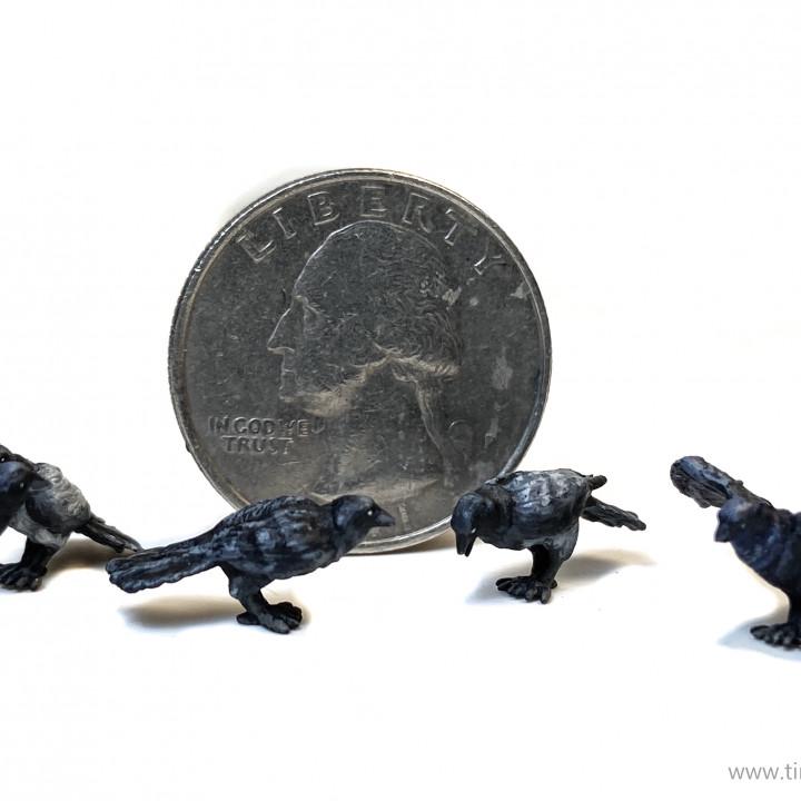 
20pc Battlefield Crow Miniatures DnD Dungeons and Dragons 28mm/32mm Scatter Terrain TTRPG Fantasy Crow Scatter Scenery Basing Materials
