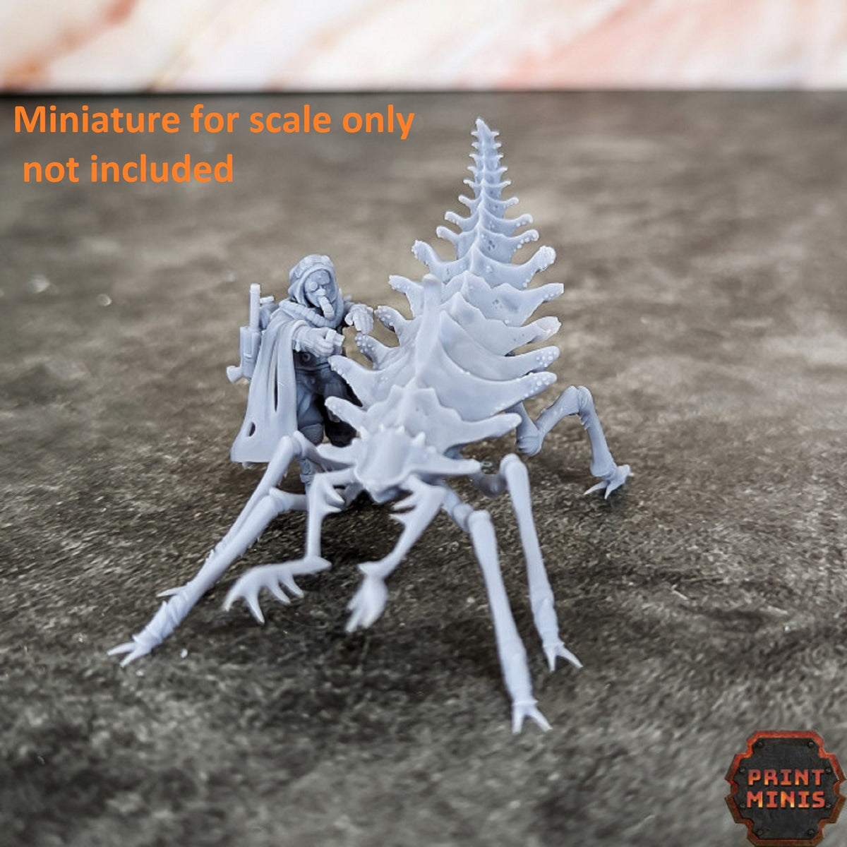 
Sand Sprinters, DnD, Dungeons and Dragons,