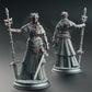 
Half-Elf Maiden Cleric Miniature Dungeons and Dragons 28mm/32mm/38mm Mini RPG Tabletop Miniature DnD Painting Pathfinder 5e DnD Evana - DmS