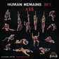 
15pc Human Remains Miniatures DnD Dungeons and Dragons 28mm/32mm Wargame Scatter Scenery Bone Minis Undead Skeletons Hanging SkeletonsZbW
