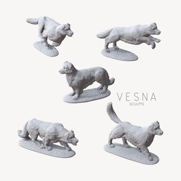 
5pc Golden Retriever Miniatures Base attached DnD Dungeons and Dragons 28mm/32mm TTRPG Wargame Dog figurines Fantasy RPG Animals