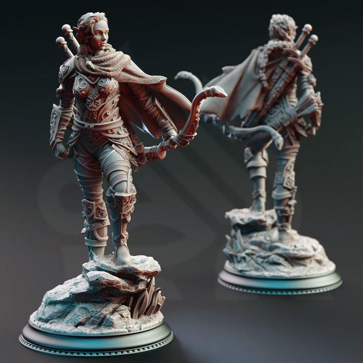 
Elf Hellspawn Hunter Ranger DnD Dungeons
