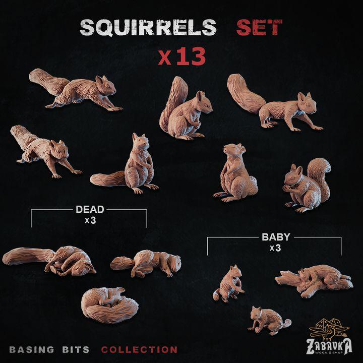 
13 pc Squirrels, for Dungeons and Dragons 28mm/32mm Basing Bits DnD Scatter Terrain Scenery Scatter D&D TTRPG Mini Basing Material - ZbW