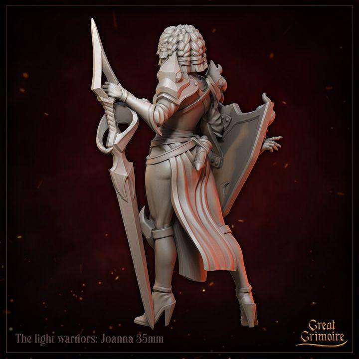 
Female Fighter with a Skeleton shield for Dungeons and Dragons 28mm/32mm/35mm TTRPG Joanna - GG
