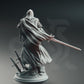 
Commander Knight - Lydia the Merciless | 28mm/32mm/38mm TTRPG Dark Fantasy Draksborne Wargaming Paladin Commander Elden Sword Fighter
