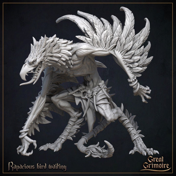 
Rapacious Bird DnD Dungeons and Dragons