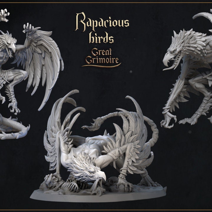 
Rapacious Bird DnD Dungeons and Dragons