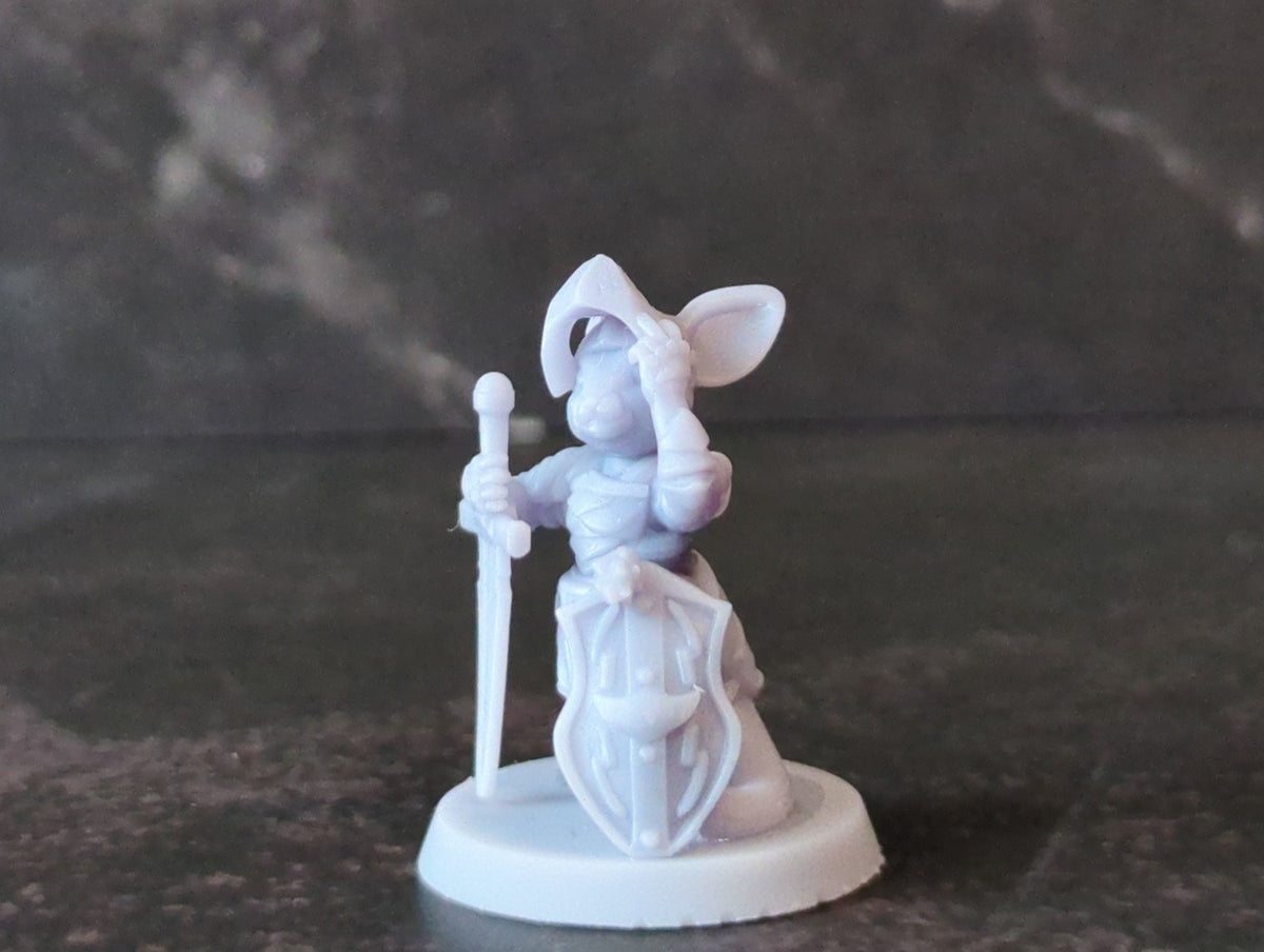 
Mousefolk Knight Miniatures for D&D Tabletop RPG Dungeons and Dragons Figurines 28mm 32mm Ideal for Dioramas Mouse Warrior Paladin