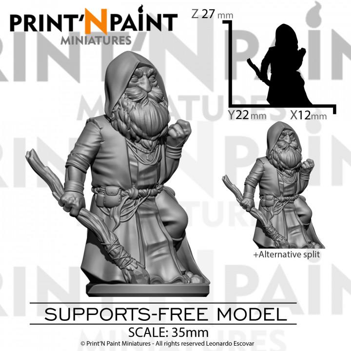 
Gnome Mage Finbrann – Fantasy Wizard