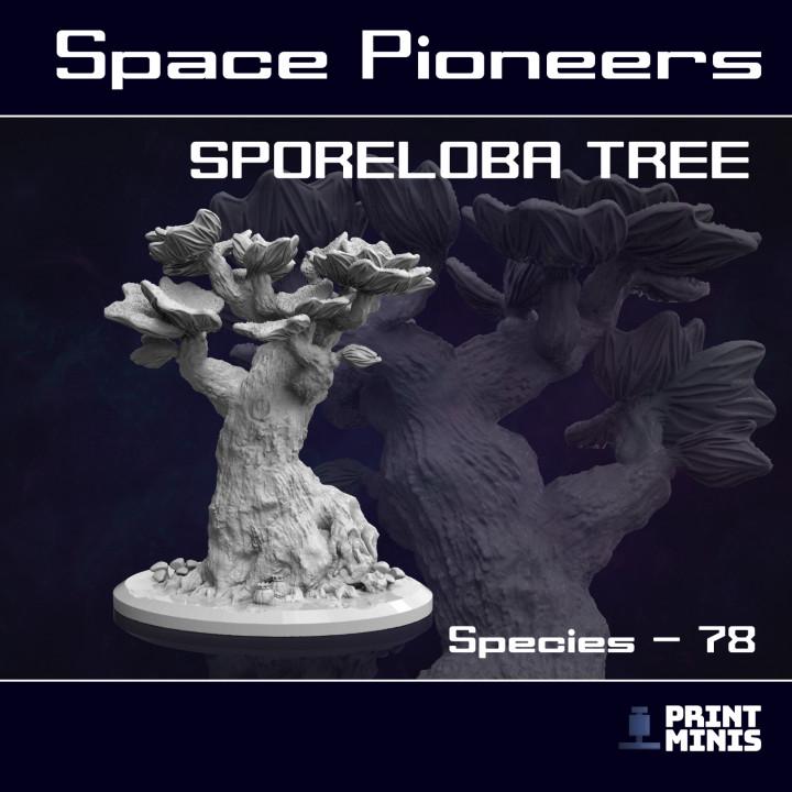 
Sporeloba Tree - Alien Planet Terrain (Space Pioneers Collection) | 28mm/32mm TTRPG Sci-fi Vegetation Scenery Alien Tree Species 78 Scatter