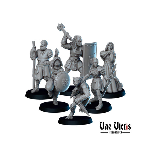 6pc Gladiator Miniature Set DnD Dungeons and Dragons TTRPG Fantasy Champions Elf Miniature Goliath DnD Tabaxi and Human figurines 28mm 32mm