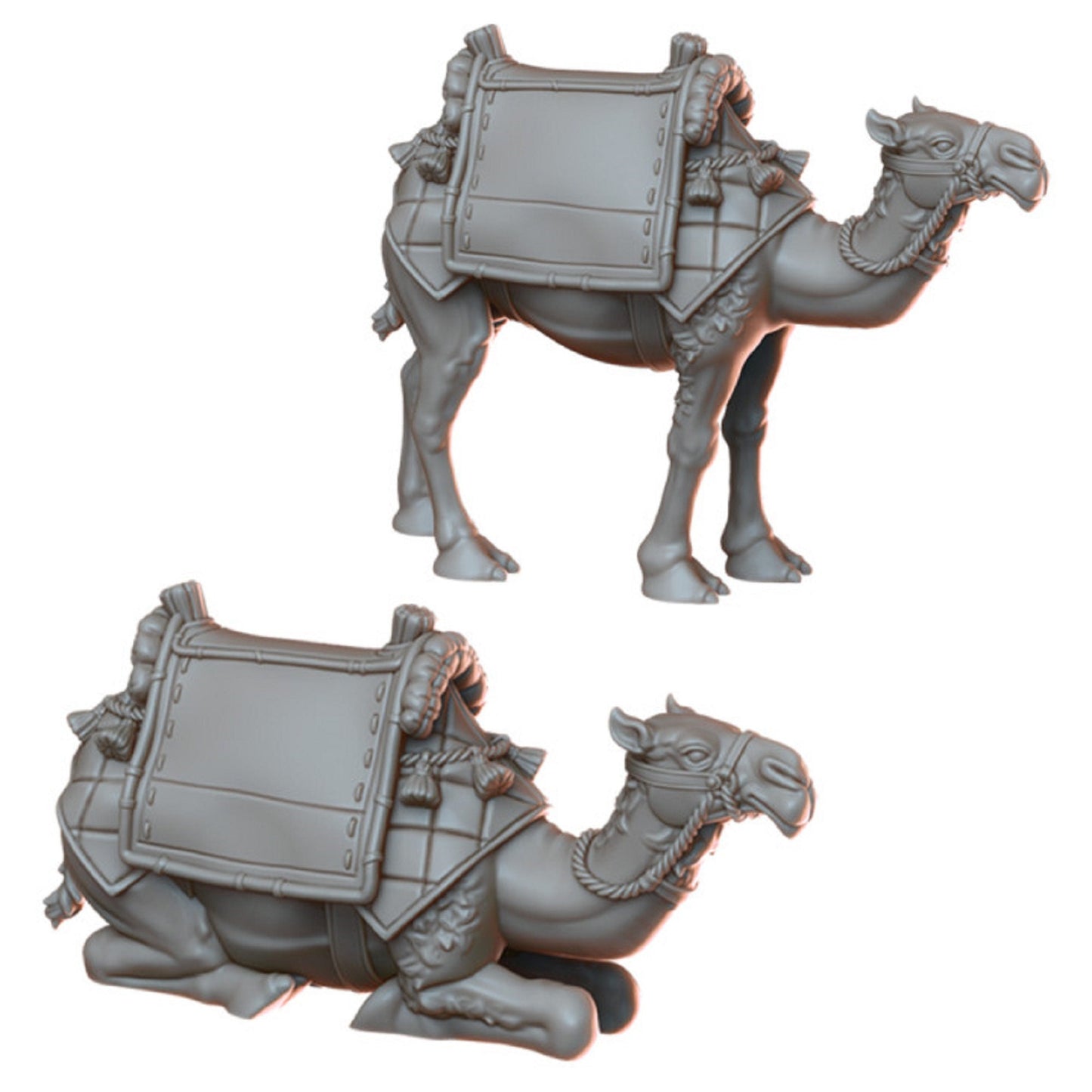 Camel miniatures for DnD Dungeons and Dragons Tabletop RPGs Desert Scatter Terrain 28mm/32mm Desert Warriors by Vae Victis Miniatures