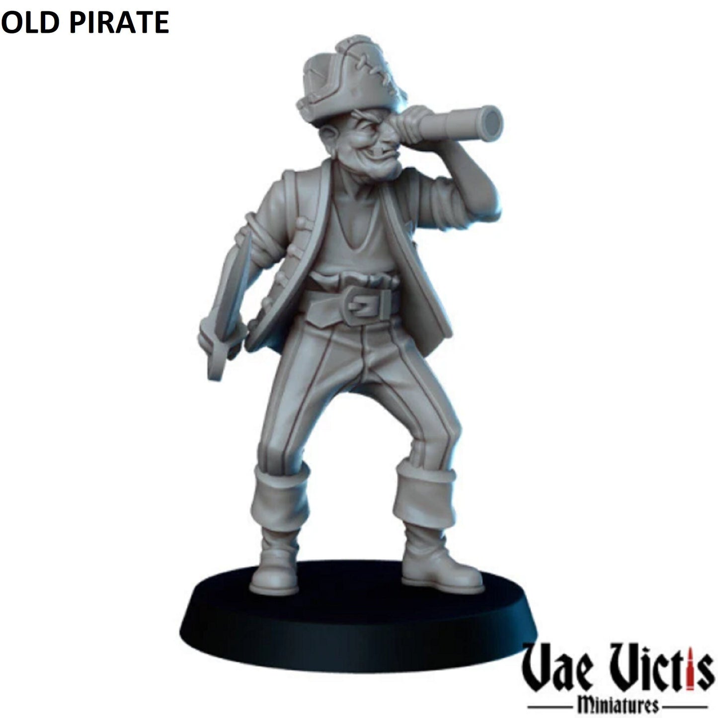 6Pc Pirate Miniature, DnD, Dungeons and Dragons, Explorer Adventurers, Tabletop RPG, Pathfinder, Vae Victis Miniatures