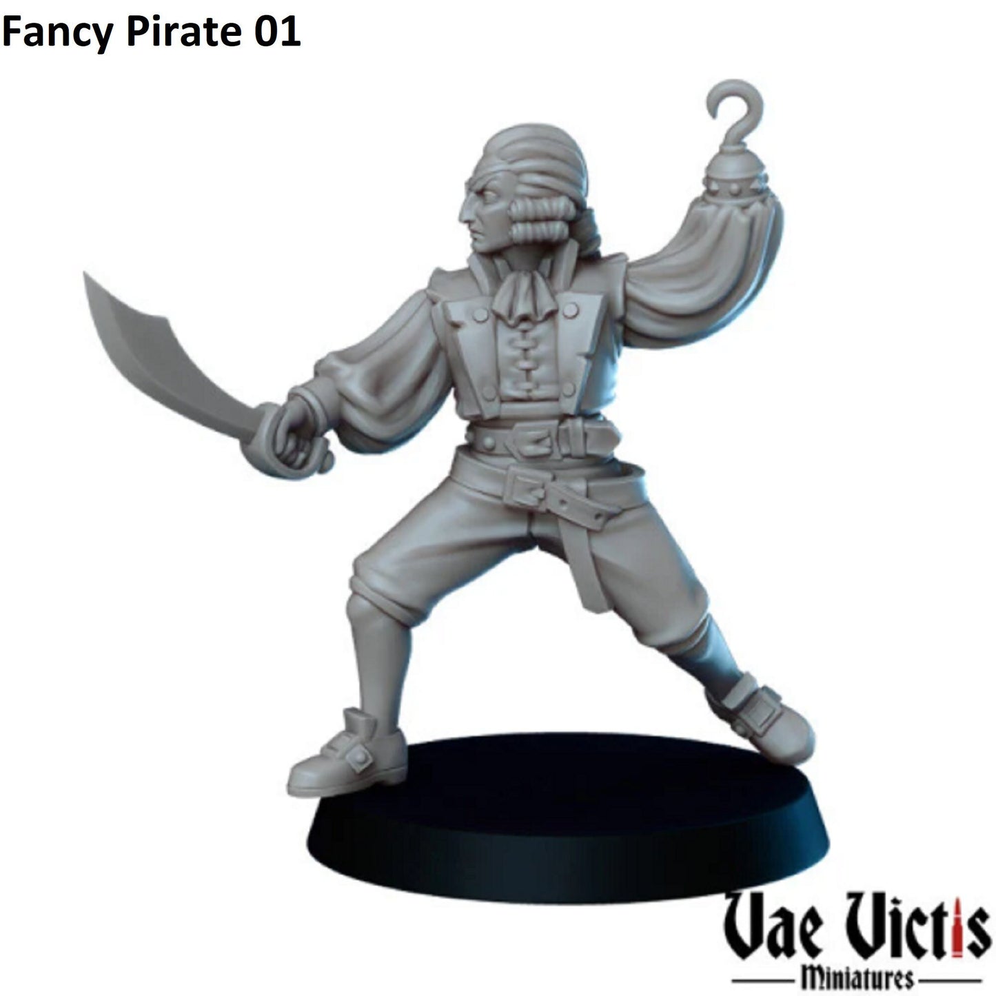 6Pc Pirate Miniature, DnD, Dungeons and Dragons, Explorer Adventurers, Tabletop RPG, Pathfinder, Vae Victis Miniatures