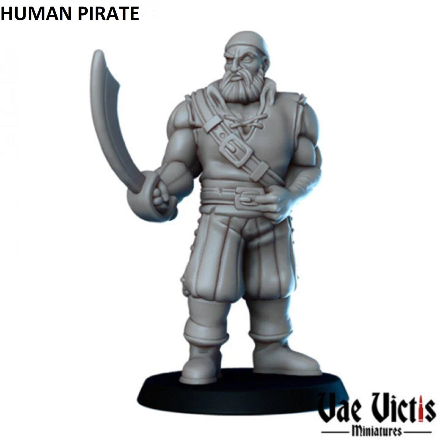 5pc Pirates Set 1 NPCs 28mm or 32mm Scale DnD Miniature Dungeons and Dragons Mini 5E Fantasy Tabletop RPG By Vae Victis