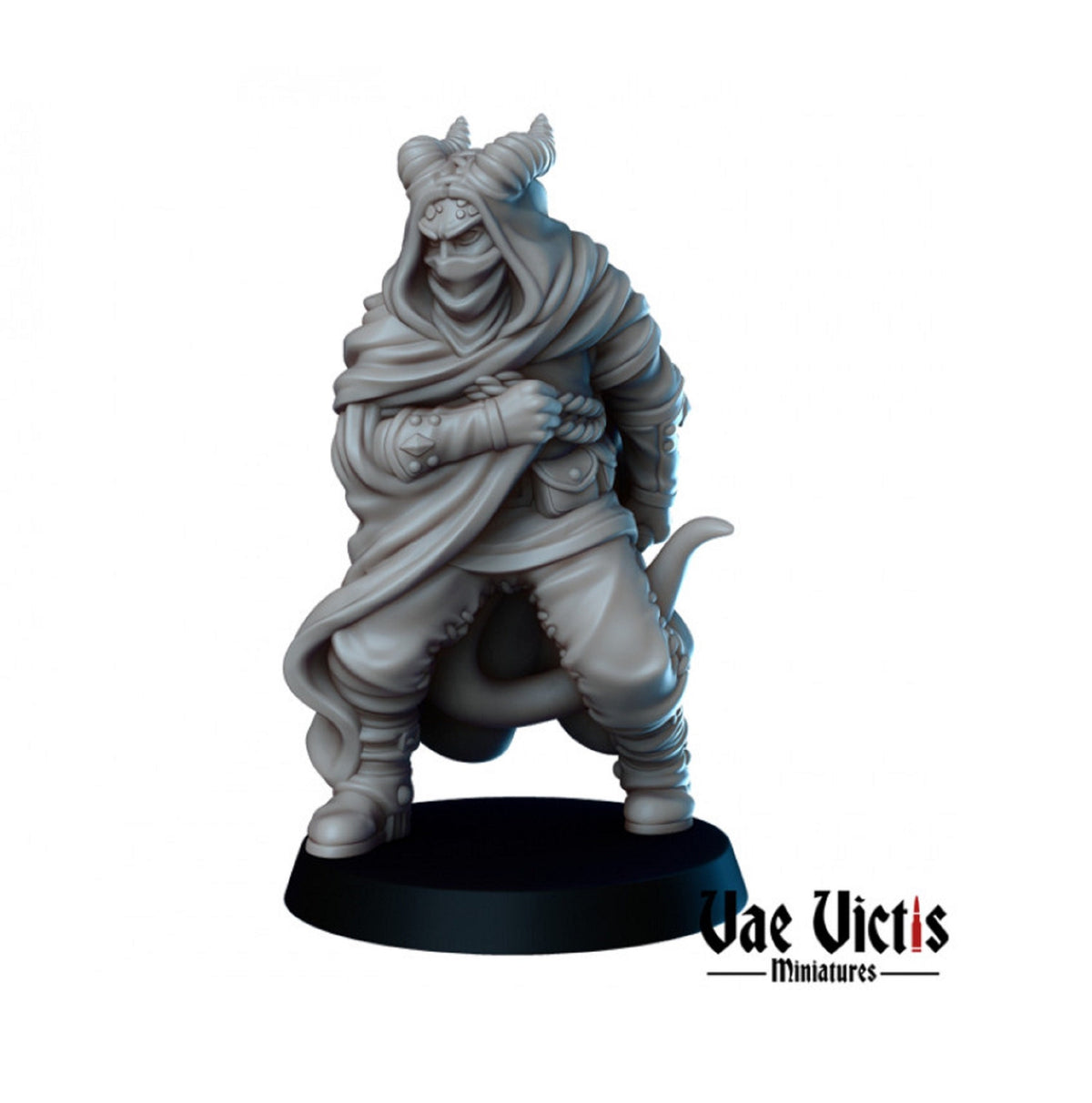 
Tiefling Assassin Rogue DnD Dungeons and Dragons 28mm/32mm TTRPG Fantasy Miniatures Wargame 3D Printed Miniature Assassin