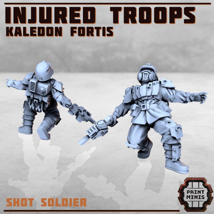 
Injured Soldiers - Kaledon Fortis, DnD, Dungeons and Dragons, 40K, Scatter, Fantasy - Print Minis